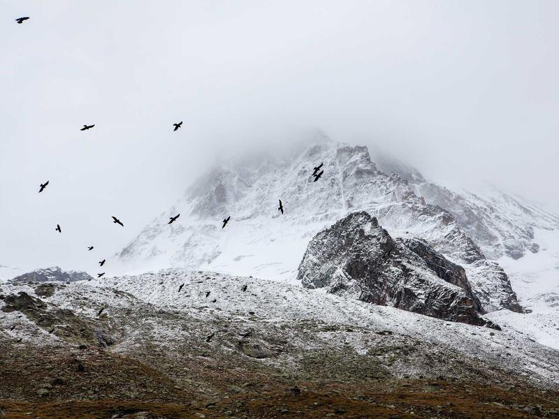 sudoku unique solution screenshot 1